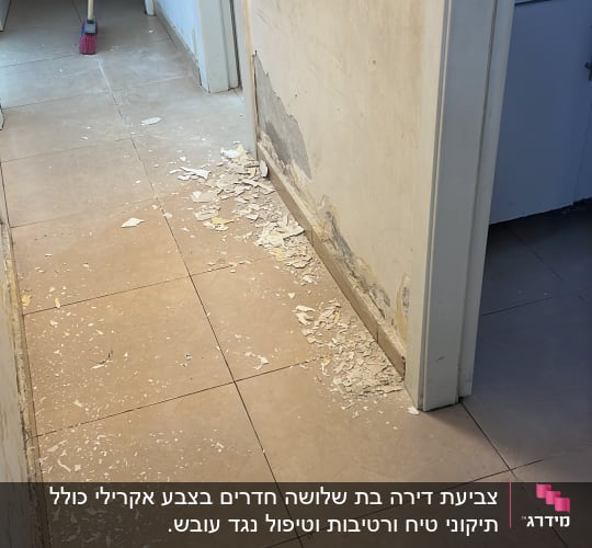 קיר מתקלף עם שאריות צבע על הרצפה